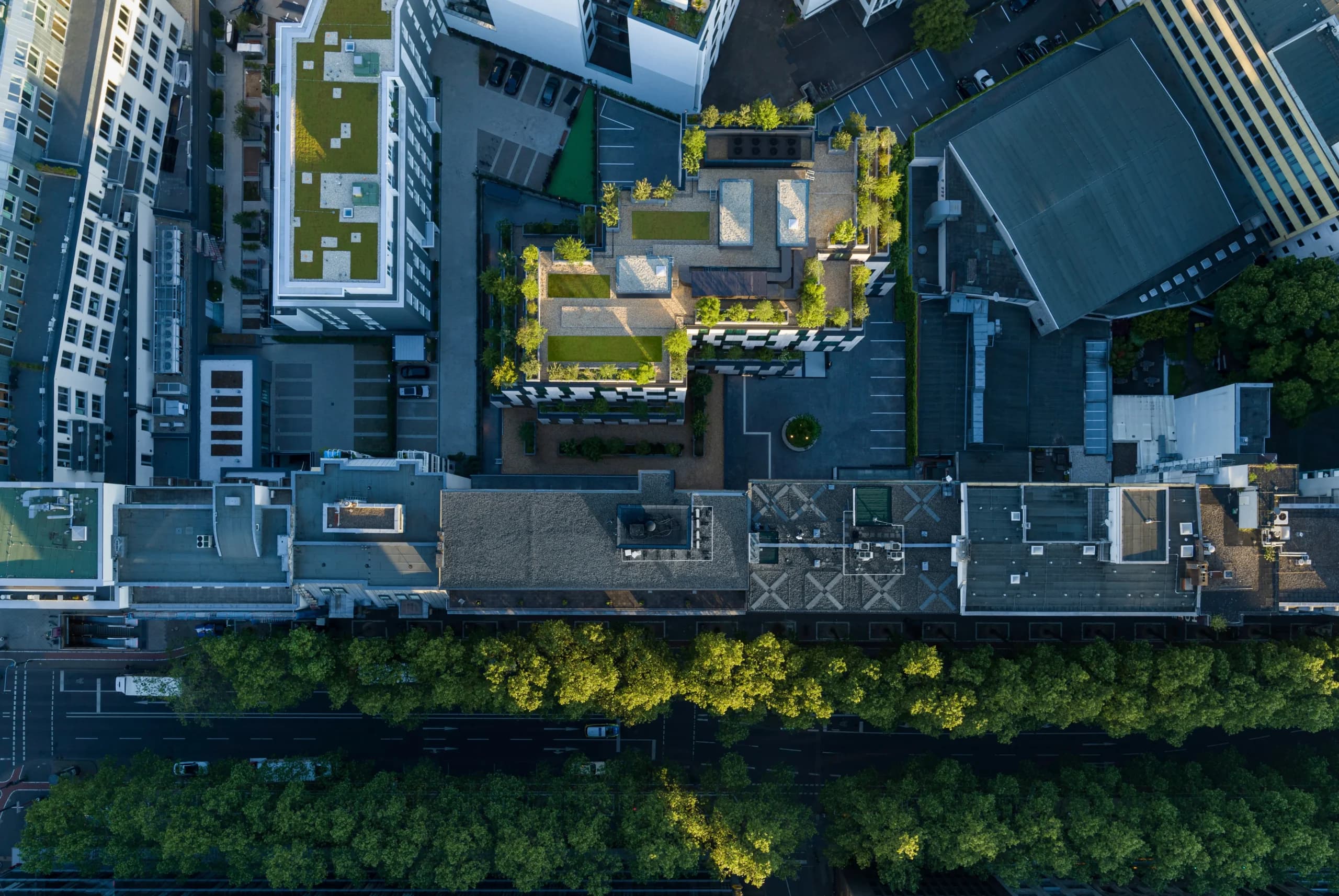 Carré Belge, Ansicht 3